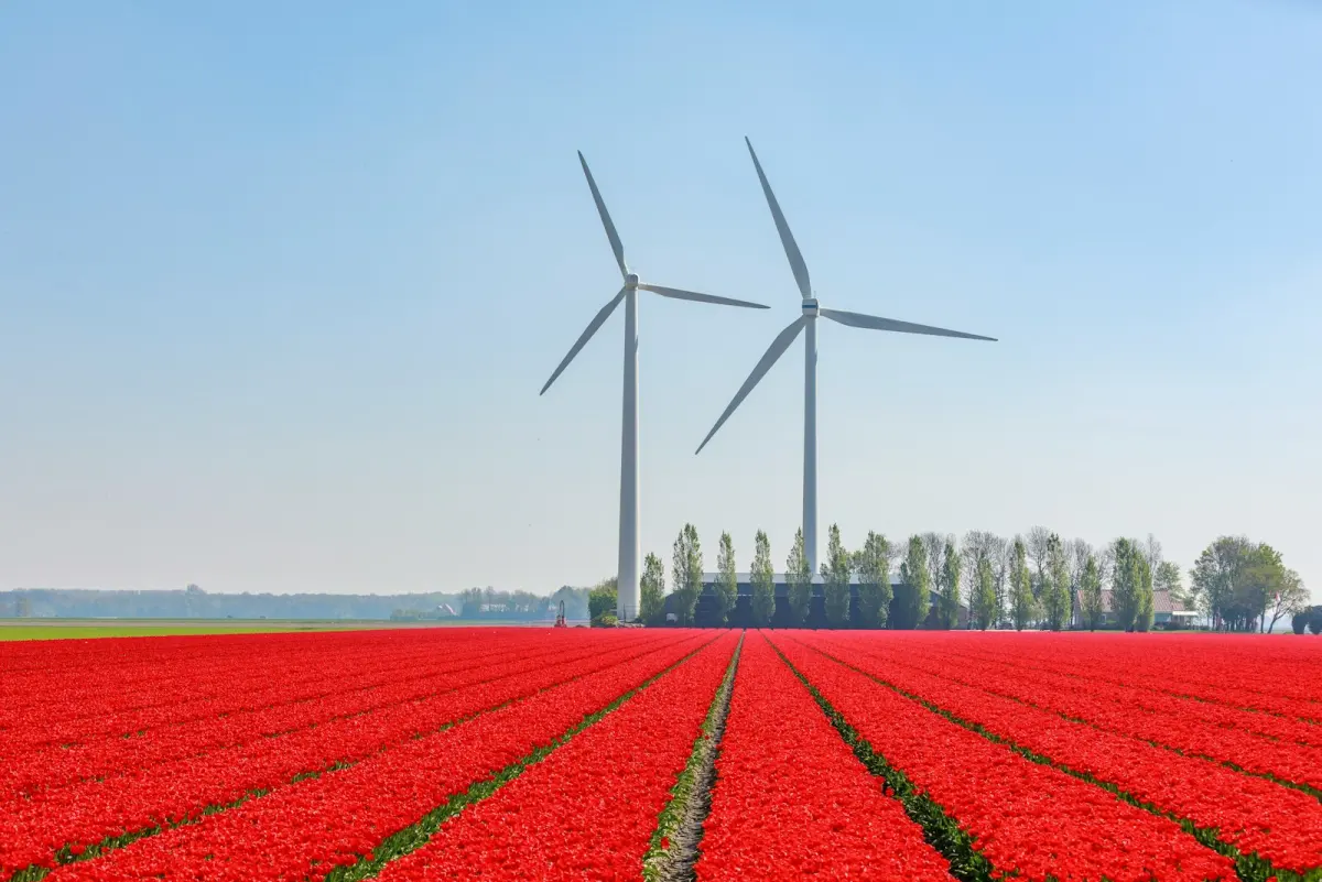 Noodstroom kas tuinbouw stroomstoring: eisen & kosten
