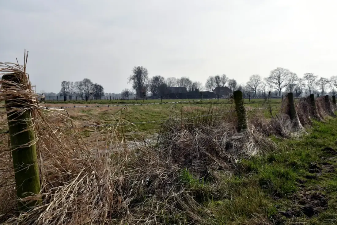 Noodstroom stormschade stroomstoring Zuid-Holland: